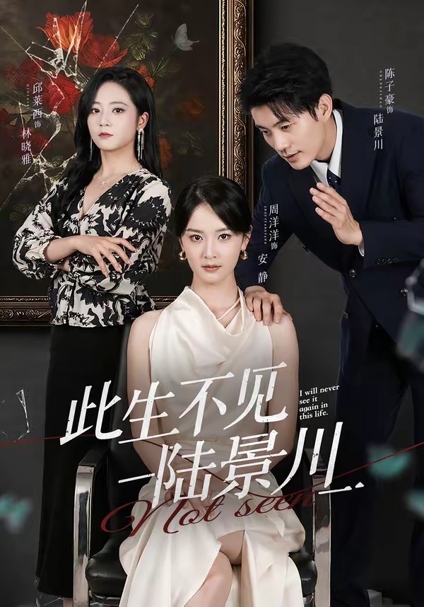 此生不见陆景川