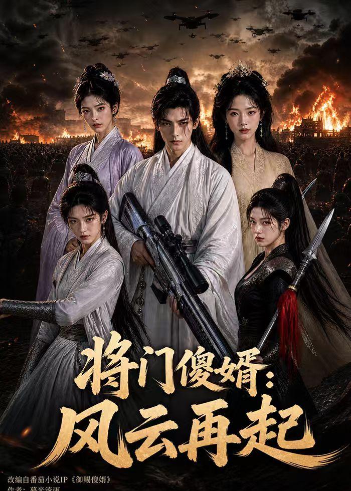 将门傻婿：风云再起